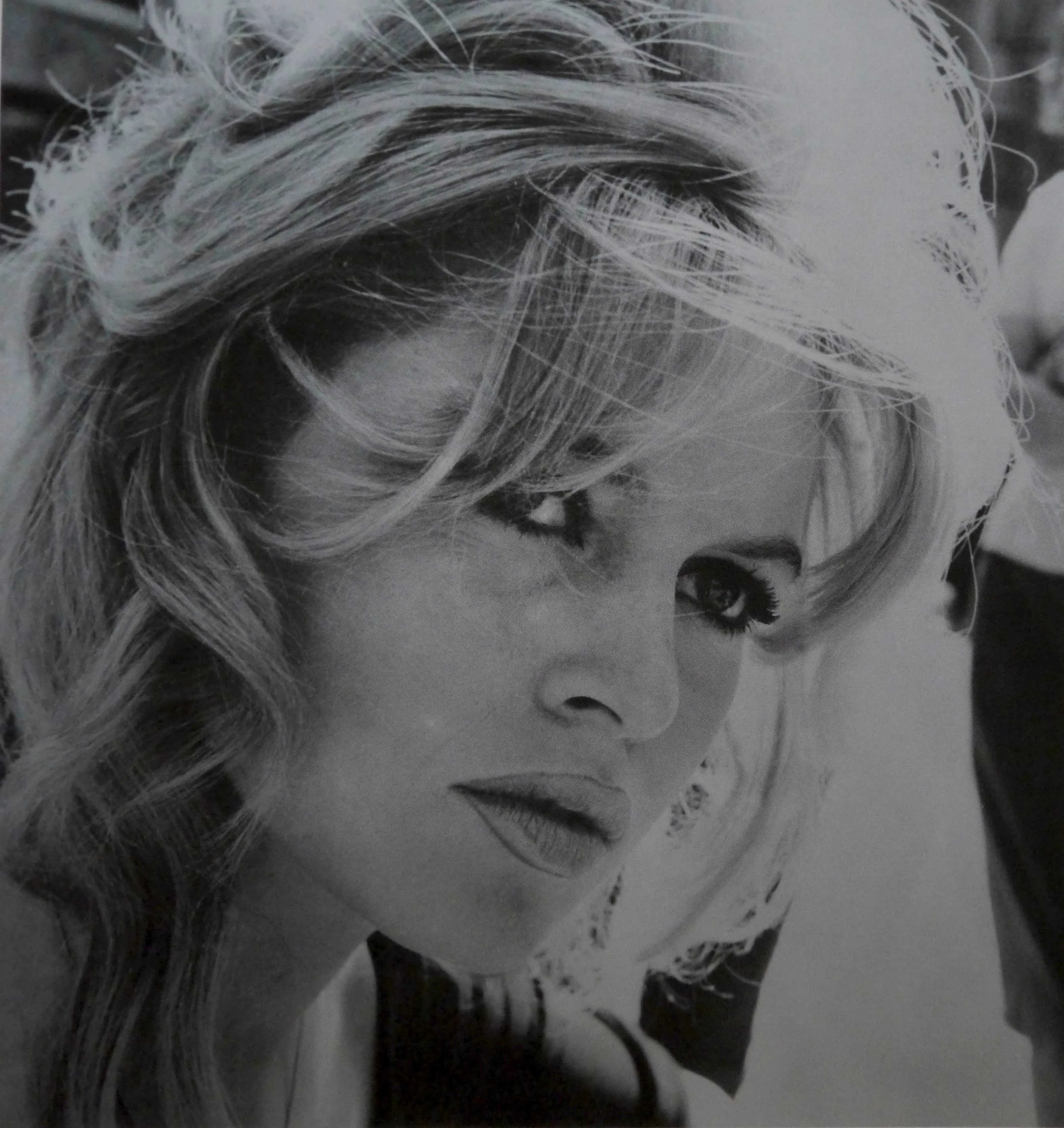 Brigitte Bardot - Silver